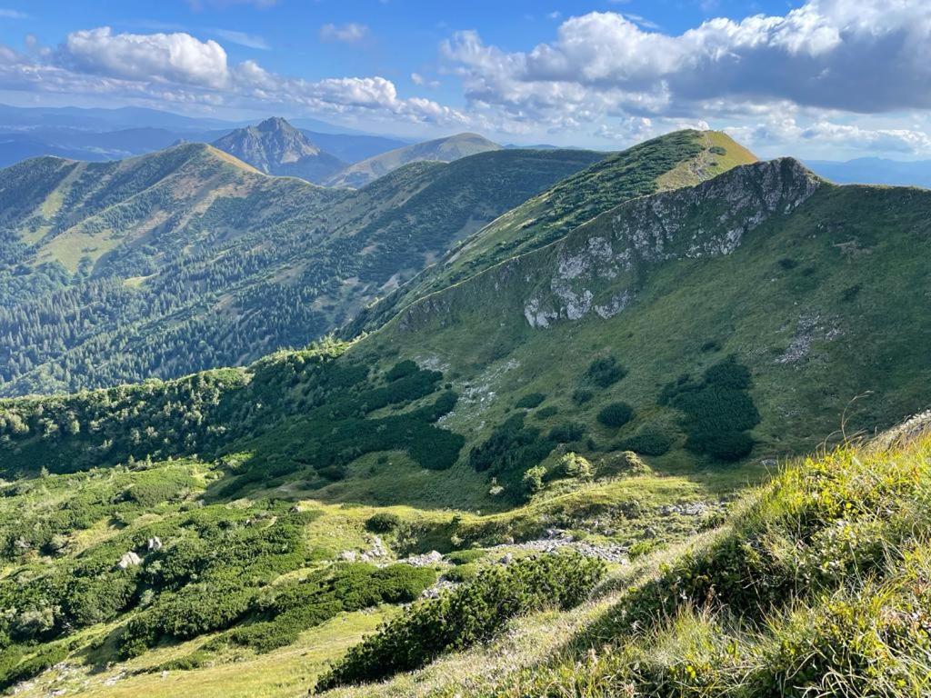 Ferienwohnung U Plechoveho Janosika Terchová Exterior foto